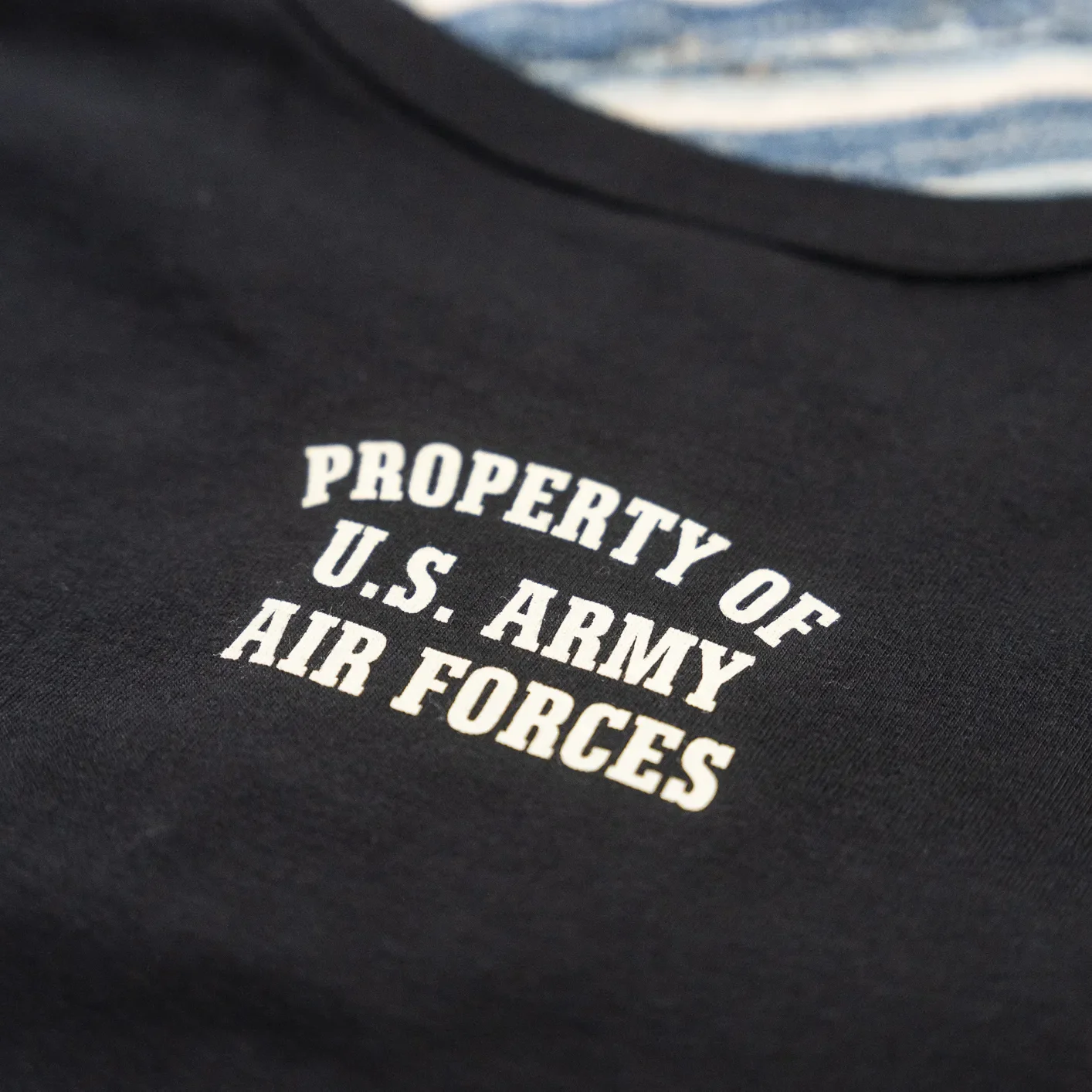 Buzz Rickson's '460th Bomb Sq. - Black Panther' 7oz Loopwheeled Government Issue T-Shirt - Black - Image 4