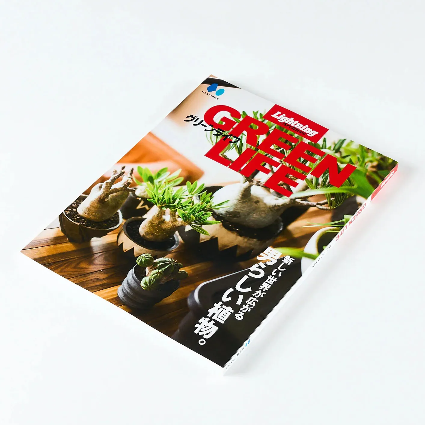 Lightning Archives Magazine – Green Life / Revised Edition - Image 4