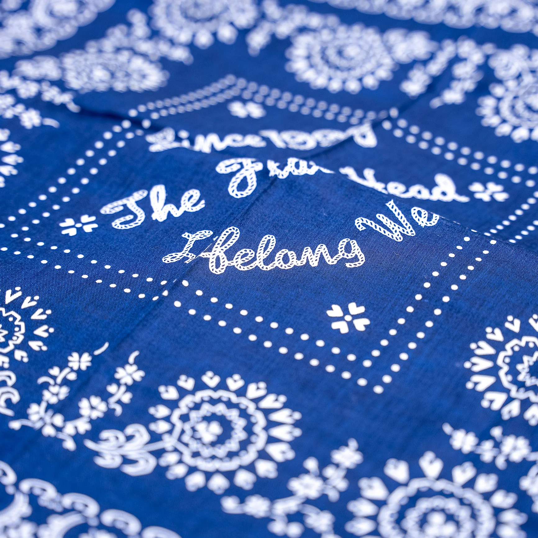 The Flat Head Paisley Bandana – Navy - Image 2